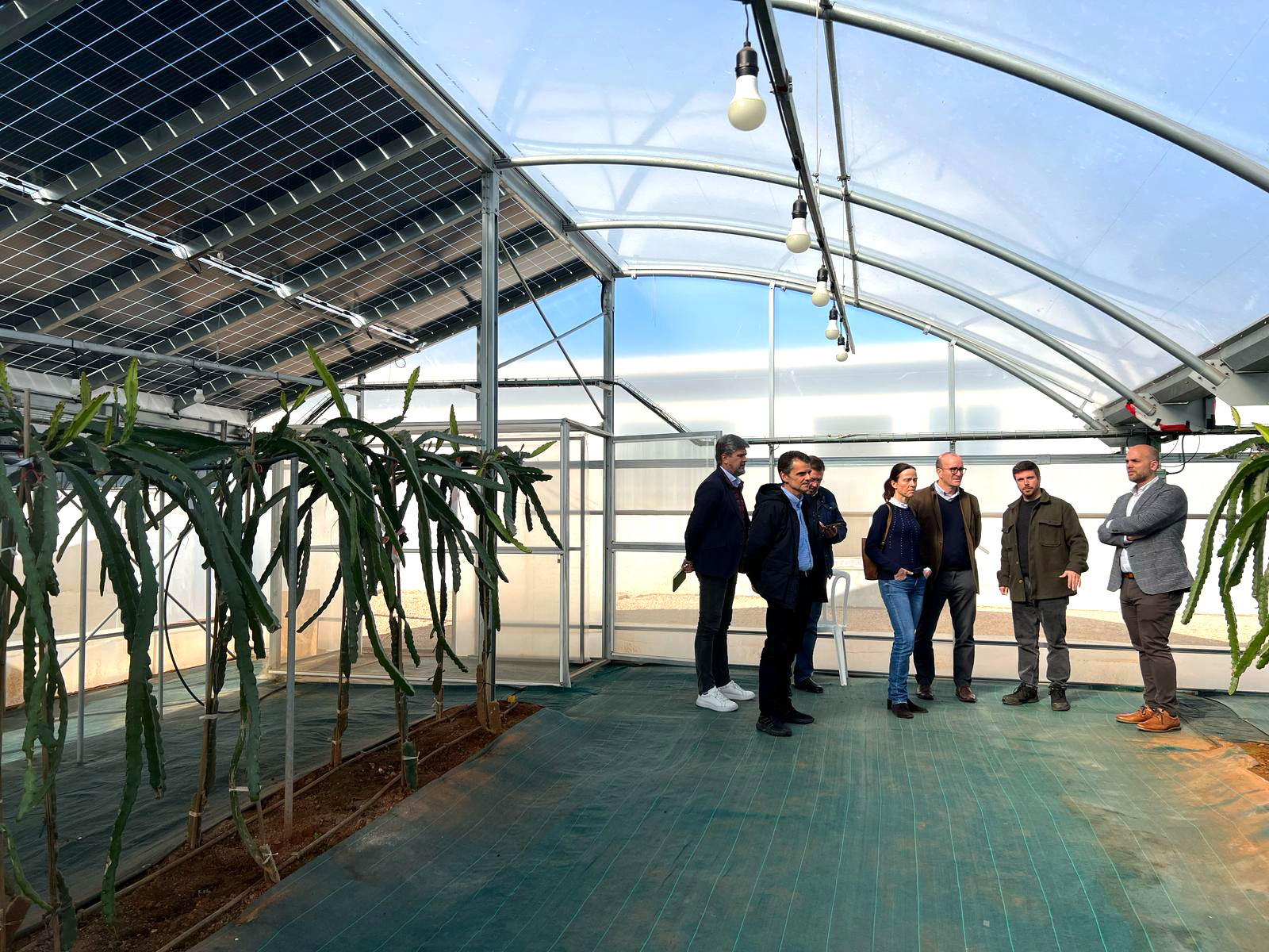 202503Marzo10-visitan instalación agrovoltaica Picassent Solar-INDEREN-04