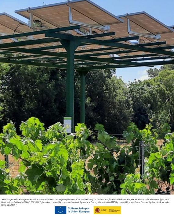 202504Abril23-PROYECTO SOLARWINE-fotovoltaica-vitícola sostenible