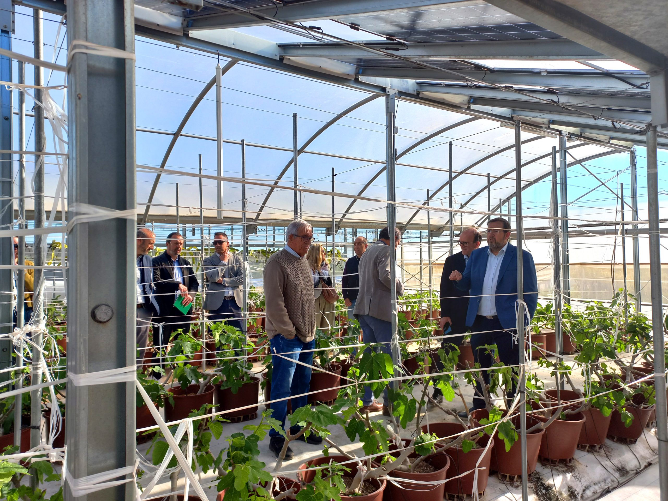 202604Abril15-Fotos-Transición Digital y Energética en el Agro Valenciano-05