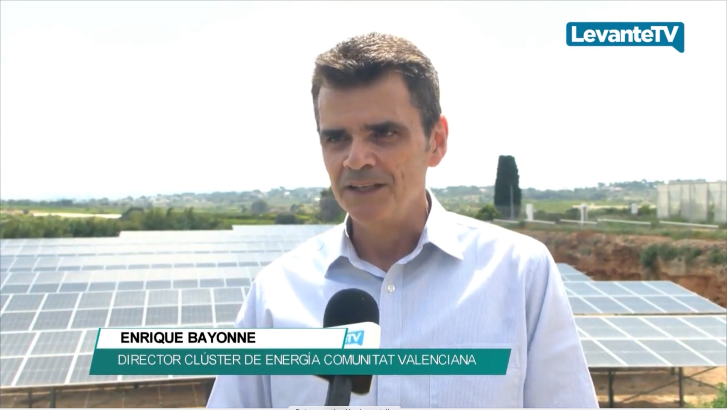 https://www.clusterenergiacv.com/wp-content/uploads/2017/10/202606Junio05-Levante-TV-Dia-Mundial-Medioambiente-2025-video-reportaje-CECV-01.jpg