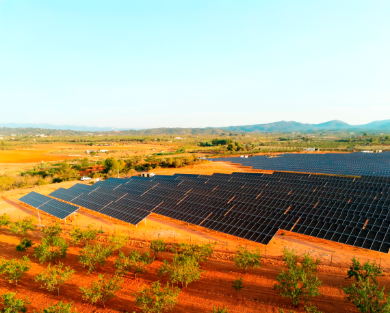 Planta-fotovoltaica-Valfortec-Juncosa-II-Vall-d'Alba