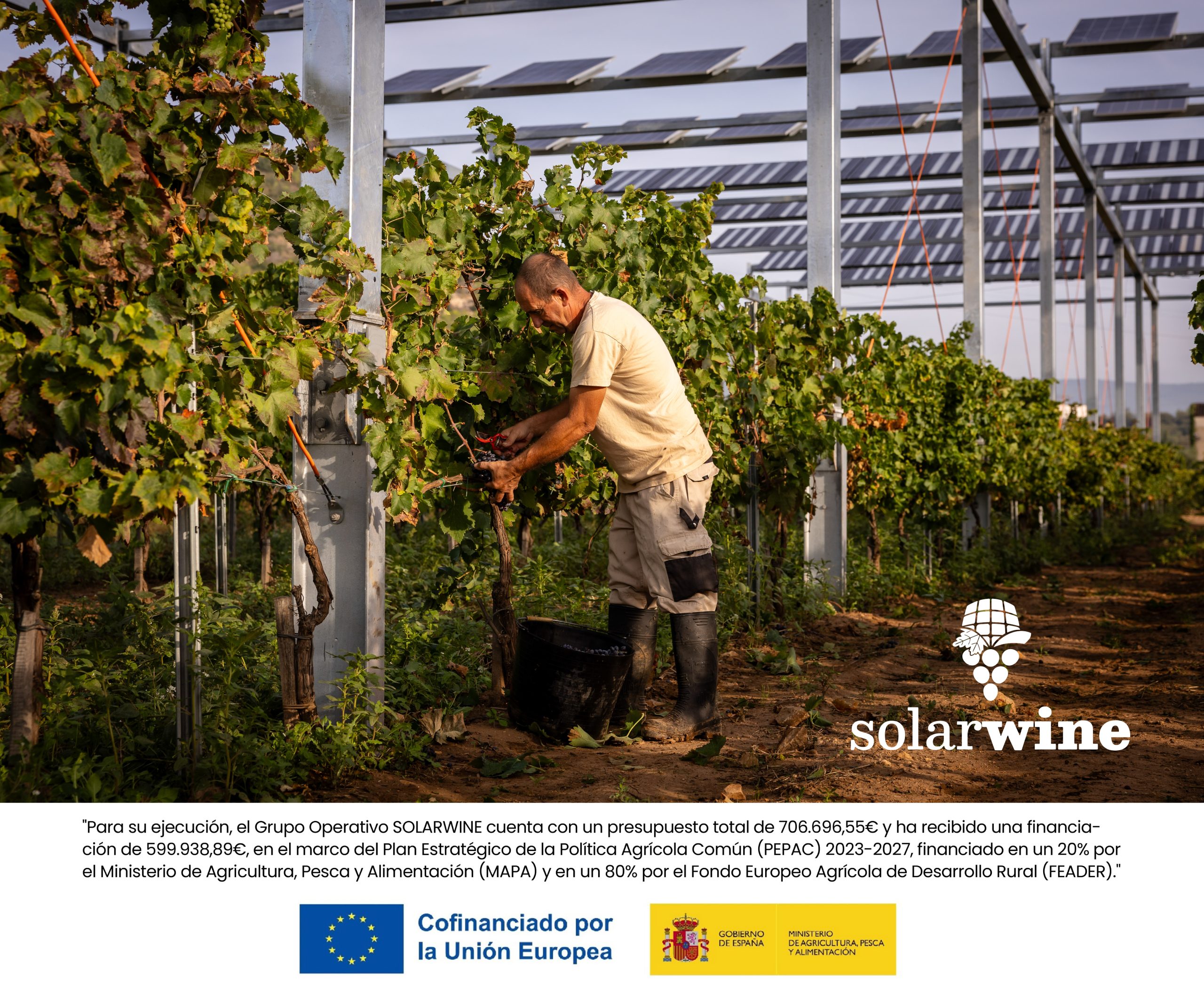 SolarWine_RRSS_Septiembre2025_Slide2.2 1-edit