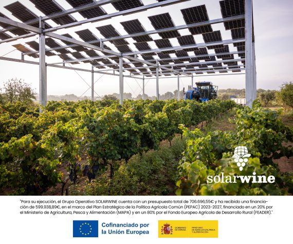 SolarWine_RRSS_Septiembre2025_Slide3.2 1-edit