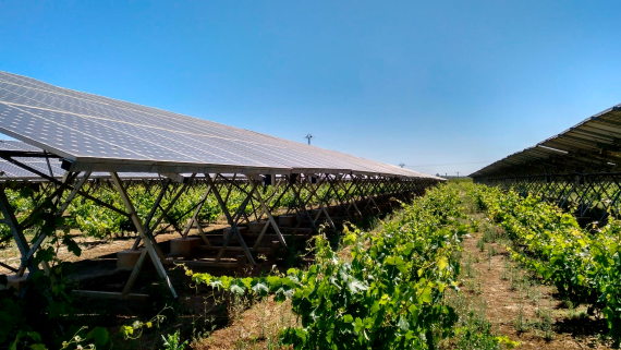 Valfortec_proyecto_agrovoltaico_Comunitat_Valenciana