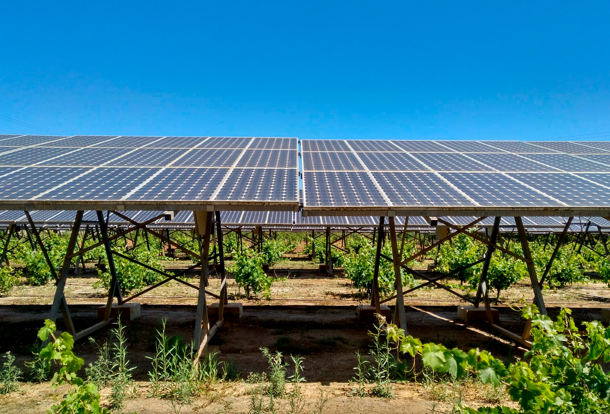 Valfortec_proyecto_agrovoltaico_Comunitat_Valenciana